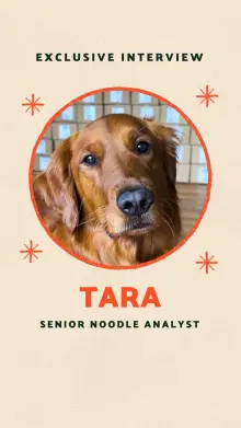Reel: an interview with Tara
