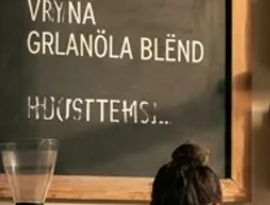 Enlargement of the bottom right corner of the menu board showing nonsense words